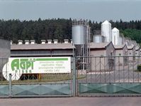 Schweinefarm in Lety (Foto: ČTK)