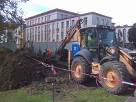 Foto: Archiv Arnika