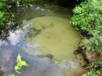 La fontaine Bezednice, photo: Packa, CC BY-SA 3.0 Unported