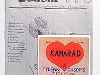 Le journal Vedem
