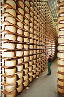 Orrero cheese plant in Litovel