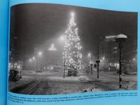 L'Arbre de la République à Brno en 1938, photo: repro 'Rudolf Těsnohlídek a vánoční strom republiky' / Moravské zemské muzeum, Brno