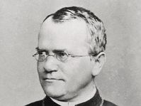 Johann Gregor Mendel
