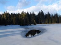 Bosque de Slavkov, foto: CHKO Slavkovský les