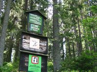 Le parc national de Šumava, photo: Barbora Němcová