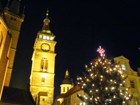 Árbol de Navidad en Hradec Králové: del jardín a la plaza