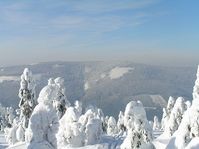 Kraliky, photo: Petr Filippov, CC BY-SA 3.0 Unported