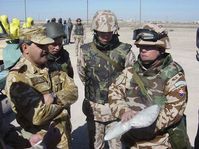 1. tschechisch-slowakische Anti-ABC-Waffen-Bataillon in Kuwait (Foto: www.army.cz)