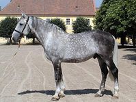 Foto: Helena Görnerová, helena@lacht.cz