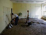 Horin, foto: www.ptacek.biz